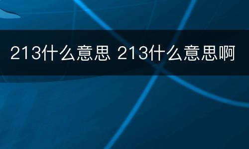 213什么意思 213什么意思啊