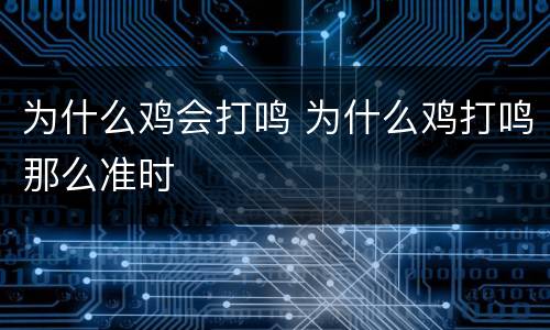 为什么鸡会打鸣 为什么鸡打鸣那么准时