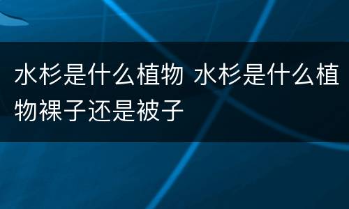水杉是什么植物 水杉是什么植物裸子还是被子