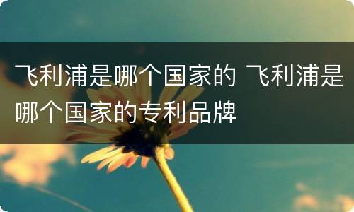 飞利浦是哪个国家的 飞利浦是哪个国家的专利品牌