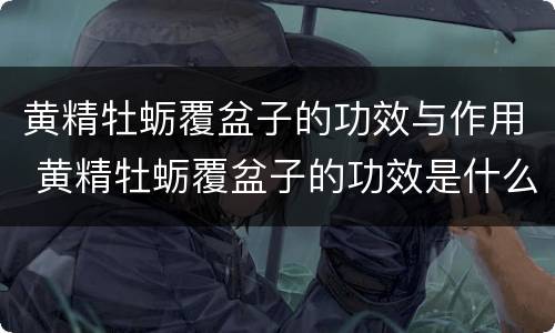 黄精牡蛎覆盆子的功效与作用 黄精牡蛎覆盆子的功效是什么
