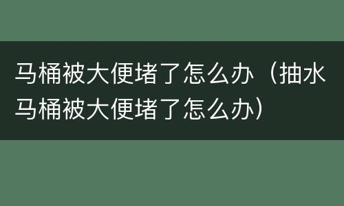 马桶被大便堵了怎么办（抽水马桶被大便堵了怎么办）