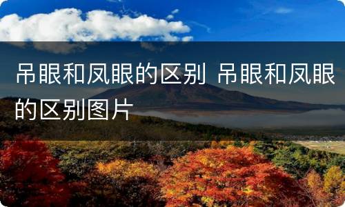 吊眼和凤眼的区别 吊眼和凤眼的区别图片