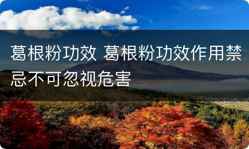 葛根粉功效 葛根粉功效作用禁忌不可忽视危害