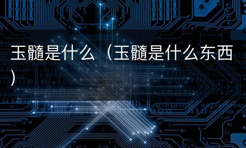 玉髓是什么（玉髓是什么东西）