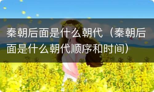 秦朝后面是什么朝代（秦朝后面是什么朝代顺序和时间）