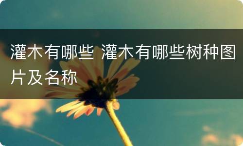 灌木有哪些 灌木有哪些树种图片及名称