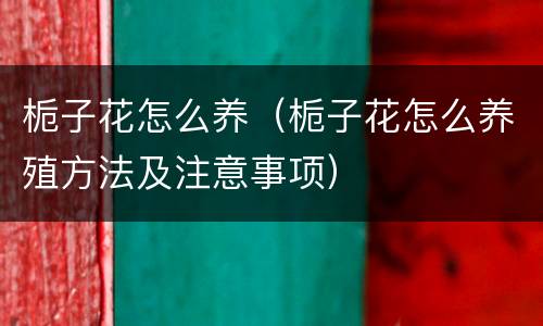 栀子花怎么养（栀子花怎么养殖方法及注意事项）