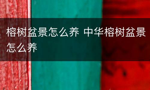 榕树盆景怎么养 中华榕树盆景怎么养