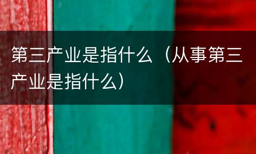 第三产业是指什么（从事第三产业是指什么）