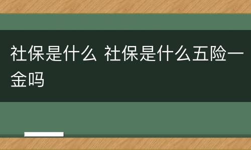 社保是什么 社保是什么五险一金吗