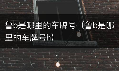 鲁b是哪里的车牌号（鲁b是哪里的车牌号h）