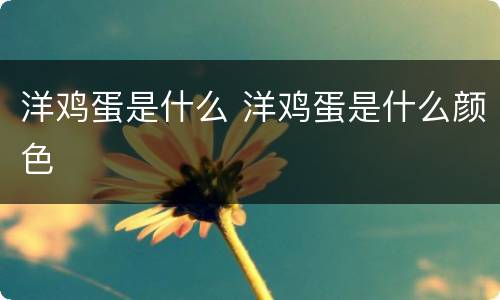 洋鸡蛋是什么 洋鸡蛋是什么颜色