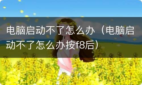 电脑启动不了怎么办（电脑启动不了怎么办按f8后）