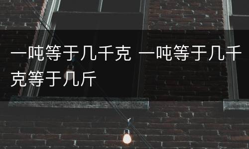 一吨等于几千克 一吨等于几千克等于几斤