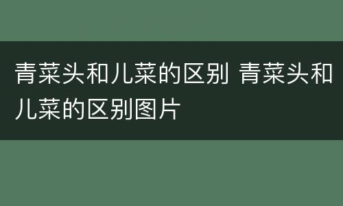 青菜头和儿菜的区别 青菜头和儿菜的区别图片