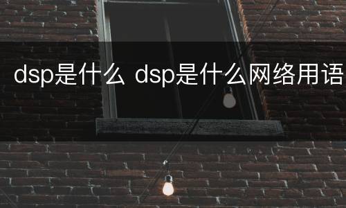 dsp是什么 dsp是什么网络用语