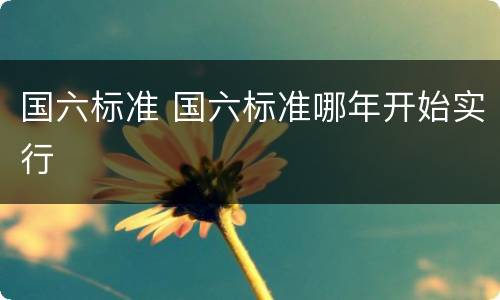 国六标准 国六标准哪年开始实行