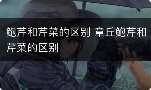 鲍芹和芹菜的区别 章丘鲍芹和芹菜的区别