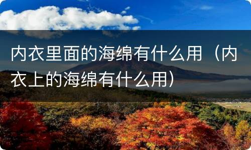 内衣里面的海绵有什么用（内衣上的海绵有什么用）