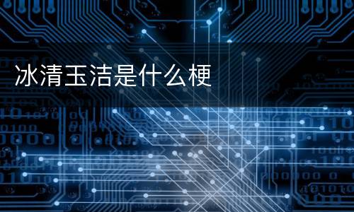 冰清玉洁是什么梗