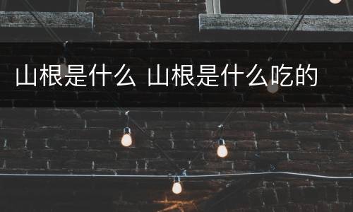 山根是什么 山根是什么吃的