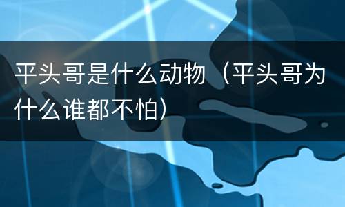 平头哥是什么动物（平头哥为什么谁都不怕）