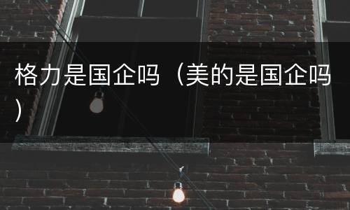 格力是国企吗（美的是国企吗）