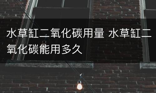 水草缸二氧化碳用量 水草缸二氧化碳能用多久