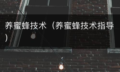 养蜜蜂技术（养蜜蜂技术指导）