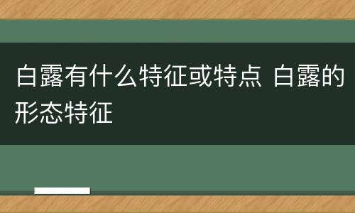 白露有什么特征或特点 白露的形态特征