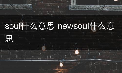 soul什么意思 newsoul什么意思