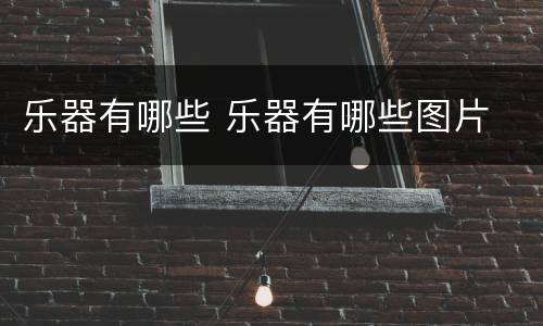 乐器有哪些 乐器有哪些图片