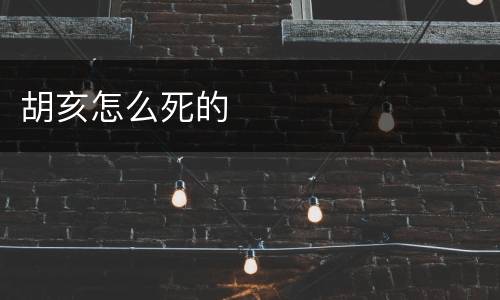 胡亥怎么死的