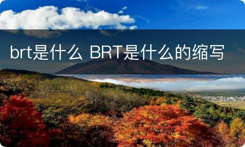 brt是什么 BRT是什么的缩写