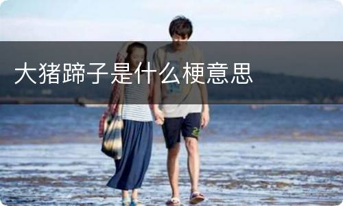 大猪蹄子是什么梗意思