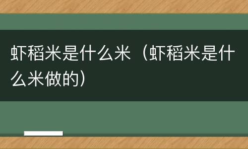 虾稻米是什么米（虾稻米是什么米做的）