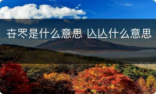 卋罖是什么意思 兦亾什么意思