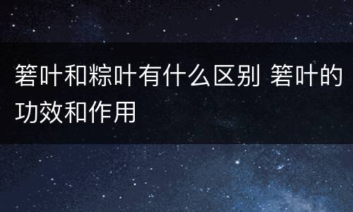 箬叶和粽叶有什么区别 箬叶的功效和作用