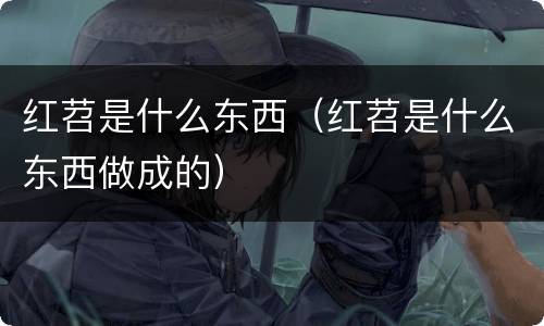 红苕是什么东西（红苕是什么东西做成的）
