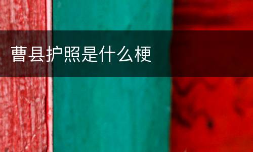 曹县护照是什么梗