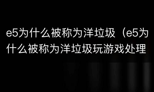 e5为什么被称为洋垃圾（e5为什么被称为洋垃圾玩游戏处理器用至强系列还是酷睿）