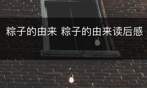 粽子的由来 粽子的由来读后感