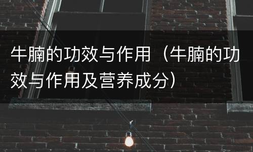 牛腩的功效与作用（牛腩的功效与作用及营养成分）