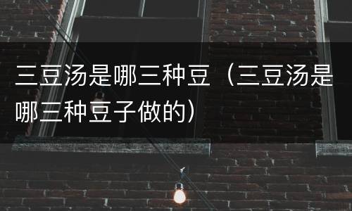 三豆汤是哪三种豆（三豆汤是哪三种豆子做的）