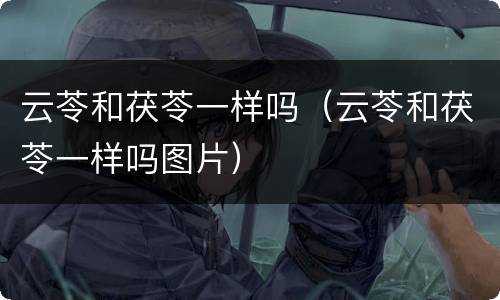 云苓和茯苓一样吗（云苓和茯苓一样吗图片）