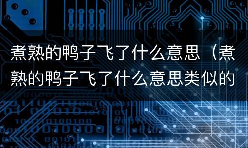 煮熟的鸭子飞了什么意思（煮熟的鸭子飞了什么意思类似的语句）