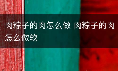 肉粽子的肉怎么做 肉粽子的肉怎么做软