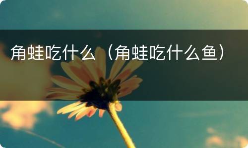 角蛙吃什么（角蛙吃什么鱼）