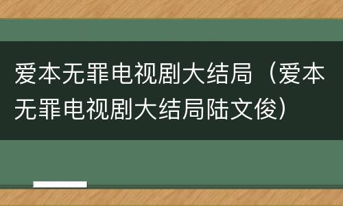 爱本无罪电视剧大结局（爱本无罪电视剧大结局陆文俊）